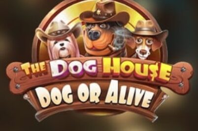 The Dog House – Dog or Alive od Pragmatic Play
