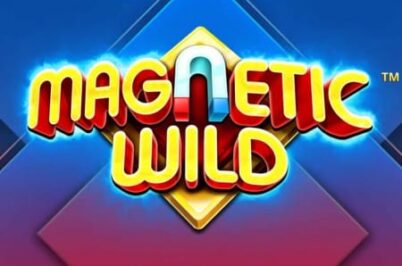 Magnetic Wild od Synot