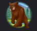 Symbol Medveď automatu Lumberjack 7 od Tech4bet