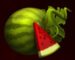 Symbol Melón automatu Flaming Spins od eGaming
