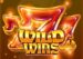 Symbol WILD symbol automatu 7 Sensational Wins od Synot