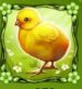 Symbol Kuriatko automatu Easter Eggs od Play’n GO