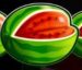 Symbol Melón automatu Fruity Gold od Synot