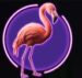 Symbol Plameniak automatu Big Bass Vegas Double Down Deluxe od Pragmatic Play
