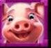 Symbol Prasa automatu Barnyard Megahays Megaways™ od Pragmatic Play