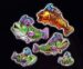 Symbol Ryby automatu Big Bass Vegas Double Down Deluxe od Pragmatic Play