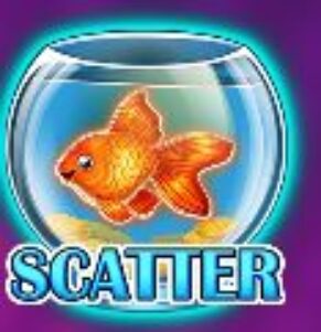 Symbol Scatter automatu Cats and Cash od Play’n GO