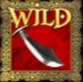 Symbol Symbol WILD automatu Aladdin’s Treasure od Pragmatic Play