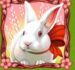 Symbol Králiček automatu Easter Eggs od Play’n GO