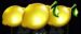 Symbol Citrón automatu Dice Rush od Synot