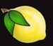 Symbol Citrón automatu Hot Fruits od Kajot