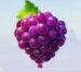 Symbol Hrozno automatu Balloon Fruits 8+ od Adell