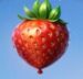 Symbol Jahoda automatu Balloon Fruits 8+ od Adell