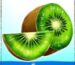 Symbol Kiwi automatu Tropical Joker od Adell