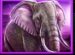 Symbol Slon automatu Realm Of Lions od Synot