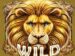 Symbol WILD symbol automatu Realm Of Lions od Synot