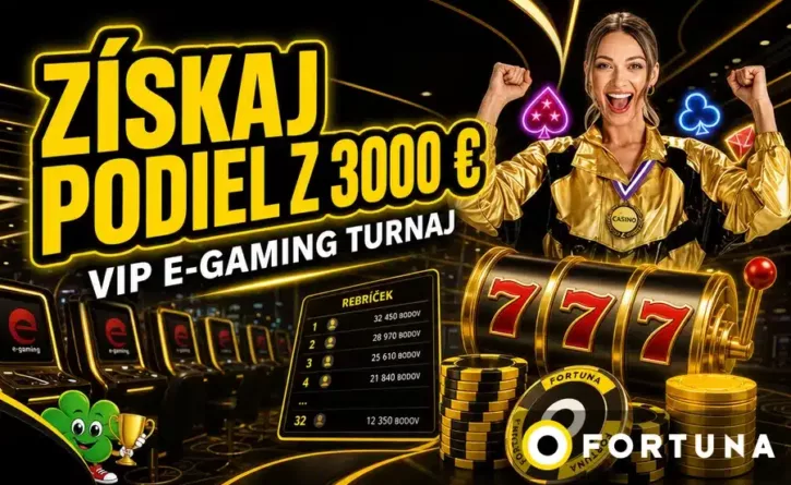 VIP E-gaming turnaj
