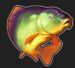 Symbol Kapr 1 automatu Mega Carp Caramba od Tech4bet