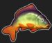 Symbol Kapr 3 automatu Mega Carp Caramba od Tech4bet