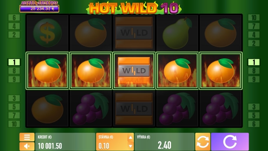 Téma a symboly Hot Wild 10