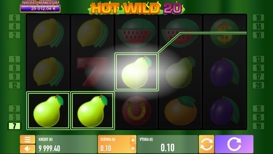 Téma a symboly Hot Wild 20