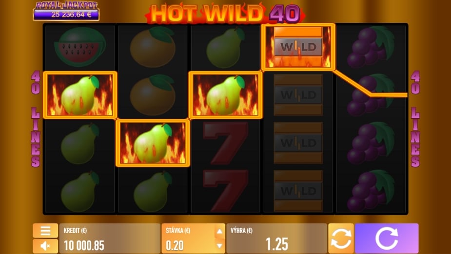 Téma a symboly Hot Wild 40