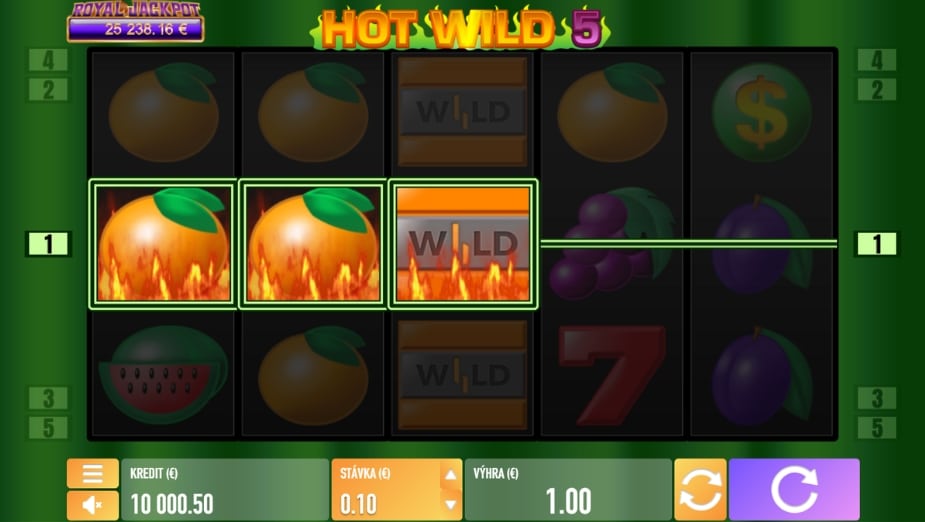Téma a symboly Hot Wild 5
