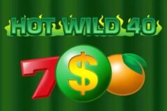Hot Wild 40 od Tech4bet