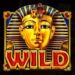 Symbol WILD symbol automatu Pyramid King od Pragmatic Play