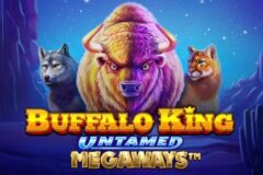 Buffalo King Untamed Megaways od Pragmatic Play