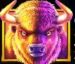 Symbol Byvol automatu Buffalo King od Pragmatic Play