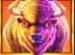 Symbol Byvol automatu Buffalo King Megaways od Pragmatic Play