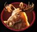Symbol Los automatu Buffalo King od Pragmatic Play