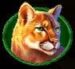 Symbol Puma automatu Buffalo King od Pragmatic Play
