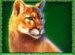 Symbol Puma automatu Buffalo King Megaways od Pragmatic Play
