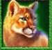 Symbol Puma automatu Buffalo King Untamed Megaways od Pragmatic Play