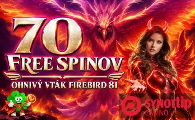 70 FS v SYnottipe