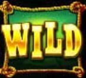 Symbol WILD symbol automatu Bounty Gold od Pragmatic Play